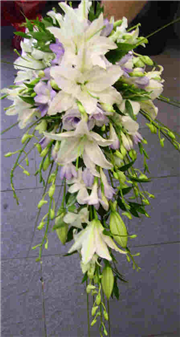 Brides Shower Lilac & Cream